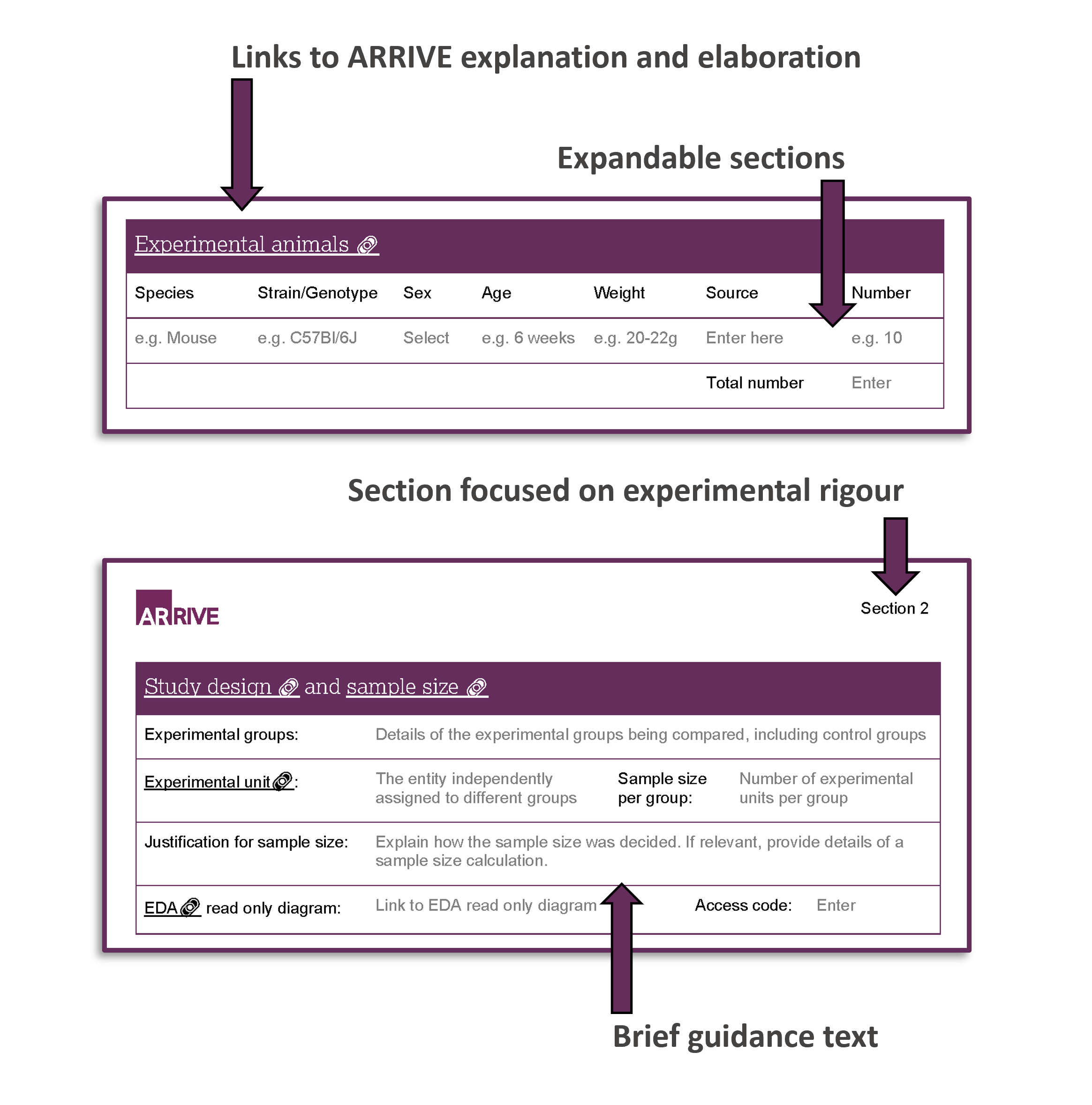 Picture showing the ARRIVE study plan. The "Experimental Animals" section is shown with an arrow pointing to text hyperlinked to experimental design resources and an arrow pointing to indicate that sections are expandable to add more rows. The "Section 2" of the ARRIVE study plan is shown with an arrow indicating that section two focuses on the experimental rigour and an arrow showing that short guidance is written in the document.