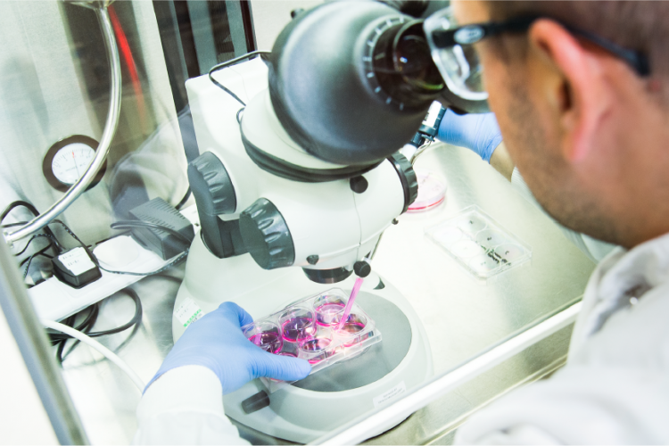 Scientist looking into microscope