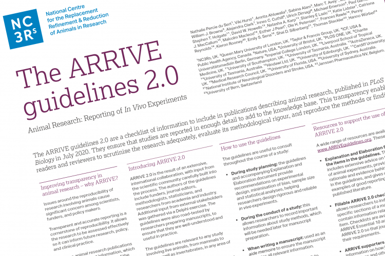 Arrive guidelines